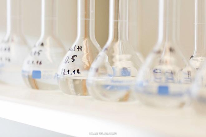 Kuusiuute. Lähde: Uusi Puu