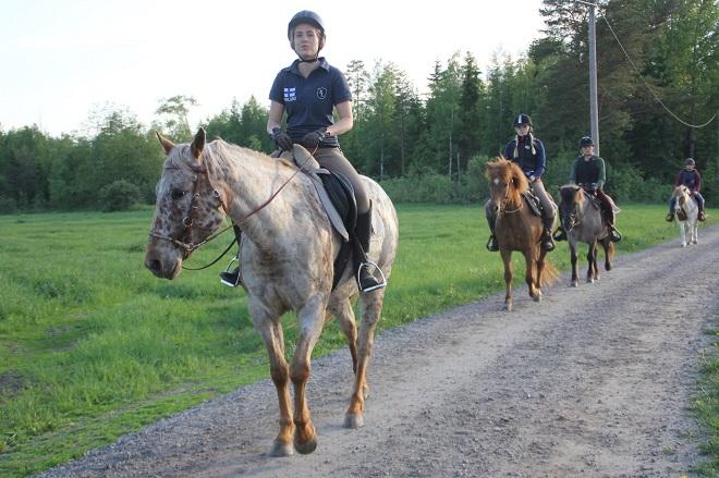 Lähde: Niemenpellon Talli