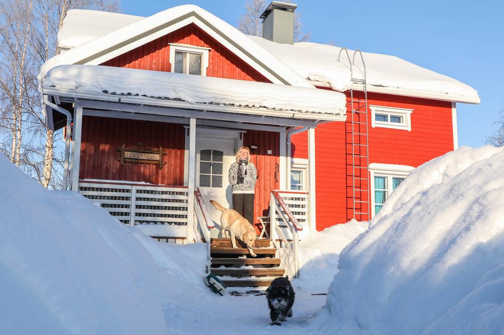 Johanna Saaren perheeseen kuuluu 9-vuotiaan tyttären lisäksi kolme aikuista lasta avopuolisoineen, labradori Hugo, kääpiösnautseri Elli sekä kissat Elsa ja Miiru.
