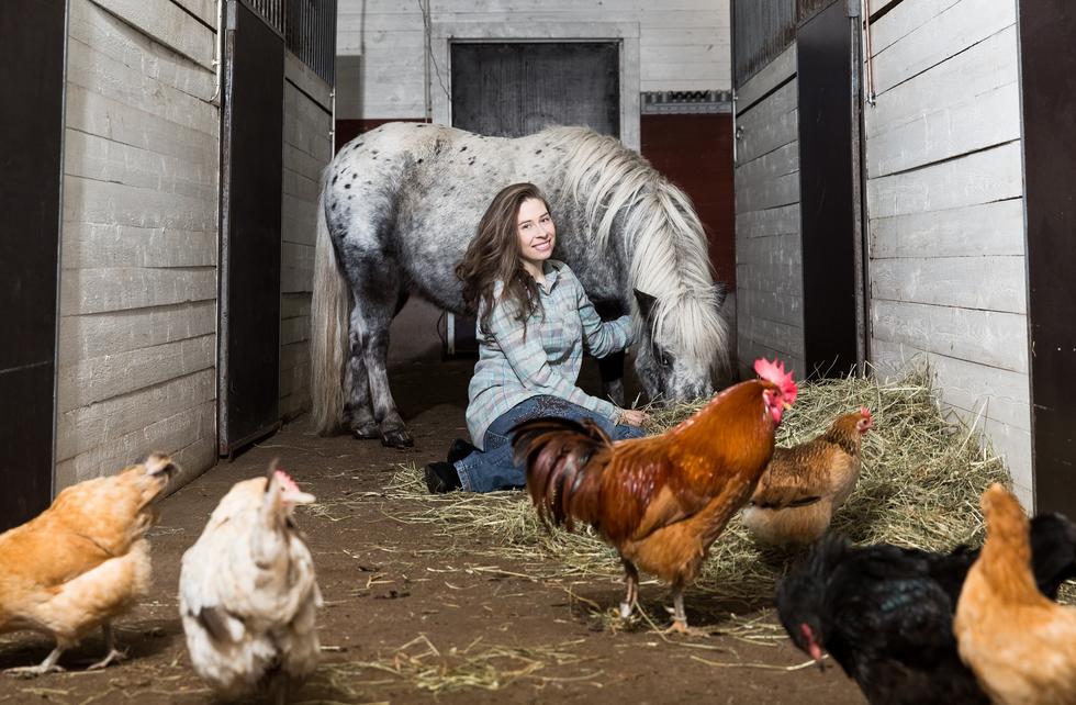Lapin Yrittäjiin kuuluvan pakopelifarmi Farm Escapen yrittäjä Liisa Koiviston mukaan Facebook -videot saavat parhaiten näkyvyyttä, koska Facebookin algoritmi suosii live-videoita.