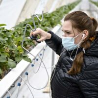 Kuva: Vesa Määttä