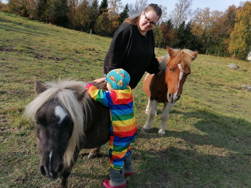 Finnbyn talli, Essi Jäntti, Vaasa.