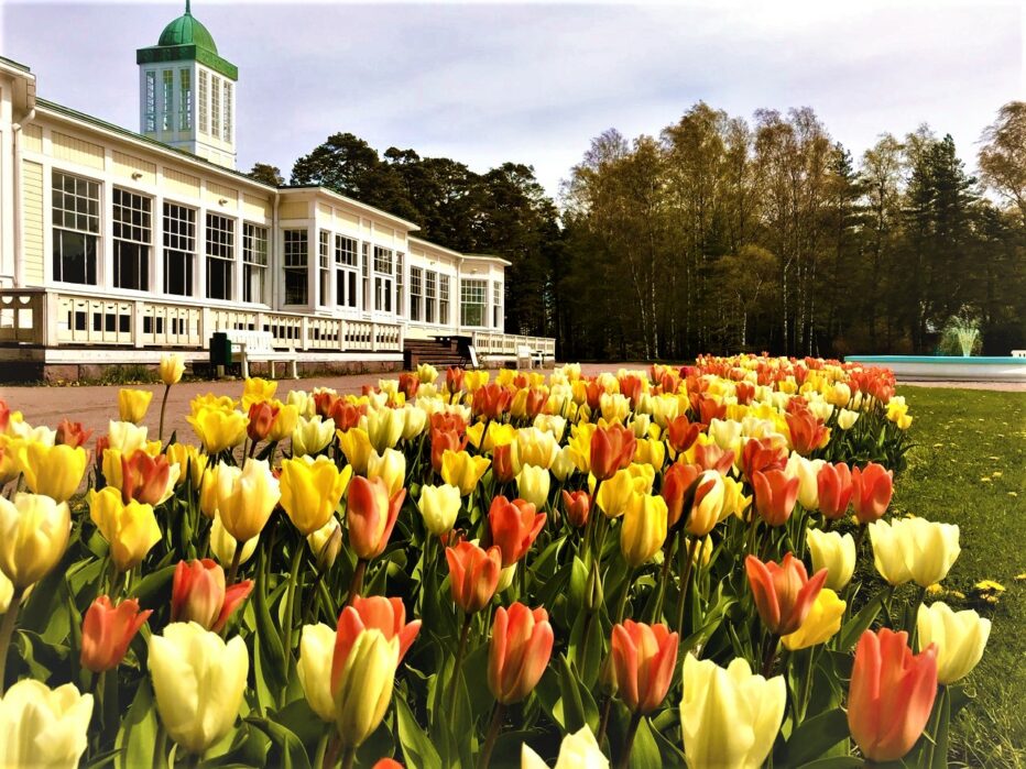 Hangon casino