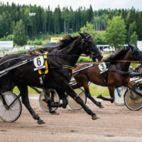 Yrittäjäravit