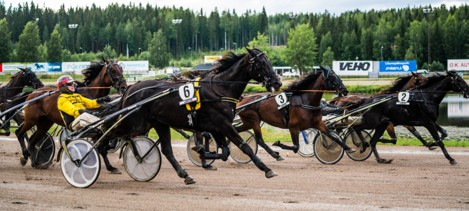 Yrittäjäravit