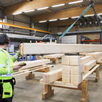 Mammuttihirsi siirtyi yövuoroon