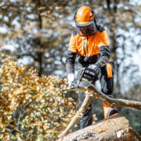 Pohjanmaalainen yritys tuo tänä vuonna Suomeen 130 ulkomaalaista työntekijää, koska suomalaisia metsureita ei löydy läheskään tarvittavaa määrää.