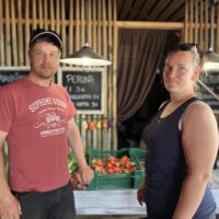 Ensimmäiset mansikat myyntiin