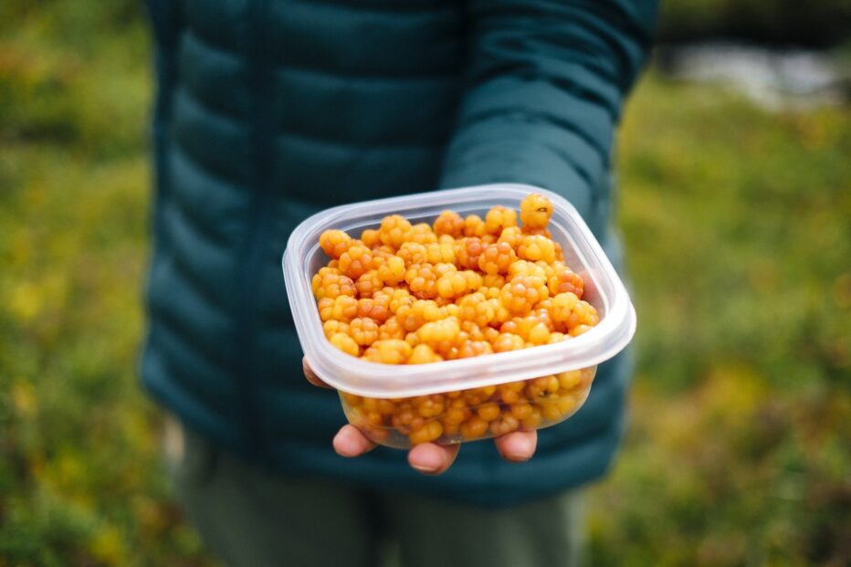 Hillasato on hyvä, mutta thaipoimijat eivät ehdi metsiin