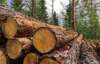 Sahateollisuudelta kovaa puhetta ilmastotavoitteesta