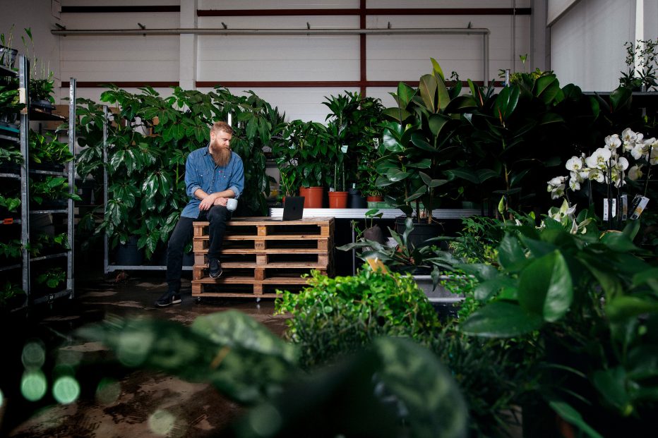 Yrityksen perustamisen oppaan kansikuvassa yrittäjä istuu tietokoneen edessä viherkasvien ympäröimänä.