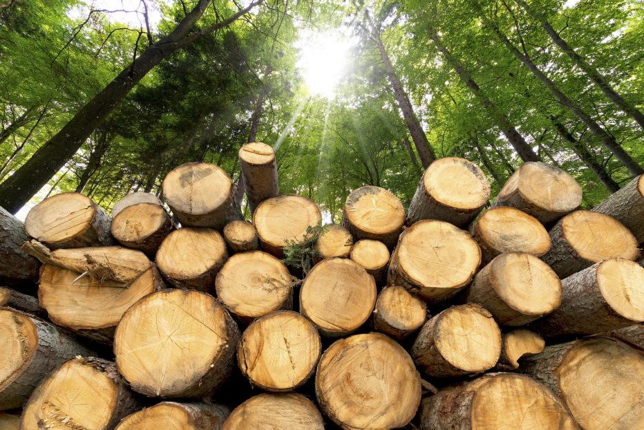 Metsä Groupilta huonoja uutisia pienille yrityksille